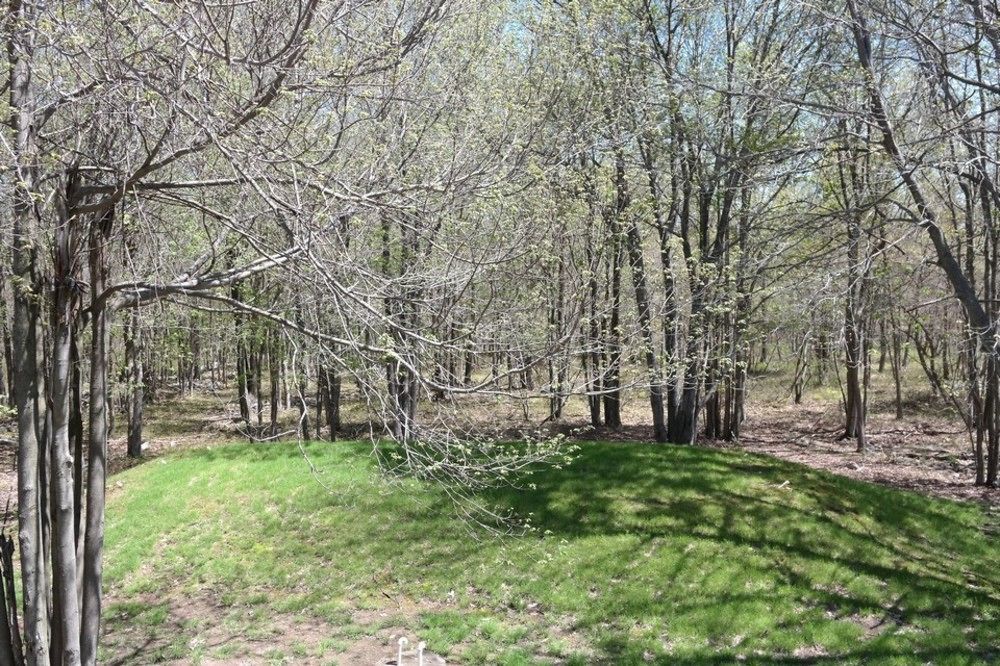 Rentals At Brier Crest Woods Lake Harmony Luaran gambar